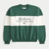 Baggy Cinch Charleston Graphic Crew -huppari Baggy Cinch Charleston Graphic Crew -huppari