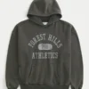 Boxy Forest Hills Athletics -grafiikkahuppari Boxy Forest Hills Athletics -grafiikkahuppari