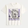 Boxy Northwestern University Wildcats -grafiikkapaita