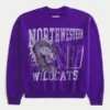 Boxy Northwestern University Wildcats -grafiikkapaita Boxy Northwestern University Wildcats -grafiikkapaita