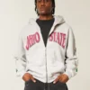 Boxy Ohio State University Buckeyes -grafiikka, vetoketjullinen huppari