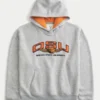 Boxy Oregon State University Beavers -grafiikkahuppari Boxy Oregon State University Beavers -grafiikkahuppari