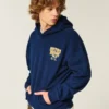 Boxy University of Notre Dame Fighting Irish -grafiikkahuppari