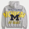 Boxy Zip-Up University of Michigan Wolverines -grafiikkahuppari Boxy Zip-Up University of Michigan Wolverines -grafiikkahuppari
