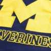 University of Michigan Wolverines -grafiikkaviitta University of Michigan Wolverines -grafiikkaviitta